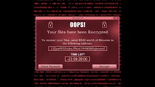 Did You Know This About Ransomware?