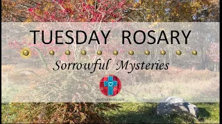 Tuesday Rosary • Sorrowful Mysteries of the Rosary 💜 Fall Afternoon in the Woods