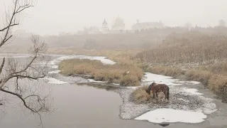 Сергей Никитин / Геннадий Шпаликов "Там, за рекою, лошади бредут"