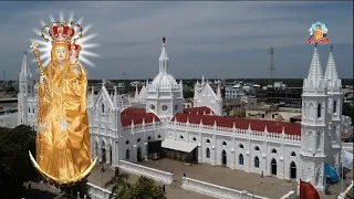 LIVE I 13.11.2022  I Vailankanni Shrine Basilica I Our Lady of Vailankanni