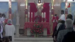 Domingo de Pentecostés – 23 de mayo de 2021 – Ciclo B - 8:00 AM