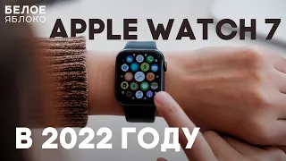 Опыт использования Apple Watch 7 | Покупать в 2022 году или брать Series 8? | Все еще актуальны?