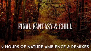 2 Hours of Final Fantasy Music & Nature Ambience Chill Remix and Nature   ASMR