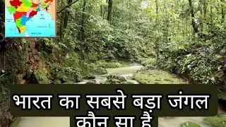 हमारे भारत का सबसे बड़ा जंगल कौन सा है ? #hamare Bharat ka sabse bada jungle#Gkgenius#jungle#forest