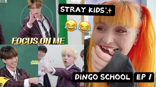 jisung comedy king😂STRAY KIDS 'DINGO SCHOOL' EPISODE 1 REACTION