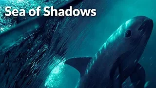 Sea of Shadows Soundtrack Tracklist | Sea of Shadows (2019) National Geographic Documentary Film