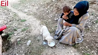 Delicious secrets of milk and rice for the girl of the sea and keeping sheep with Madinah and Magdar