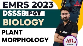 EMRS/DSSSB Vacancy 2023 | EMRS/DSSSB PGT Biology Classes | Plant Morphology