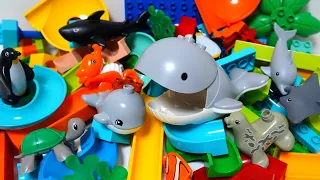 Satisfying Building Blocks Marble Run ASMR Very popular! A block coaster full of cute sea creatures