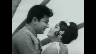 Kuyilaga Naan Irunthenna | குயிலாக நான் இருந்தென்ன | Selva Magal (1967)