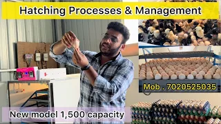 ￼ Hatching process | Candling process | Egg incubators how to use ￼| poultry business |SM incubators