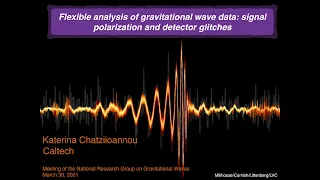 Flexible analysis of gravitational wave data: signal polarization and detector glitches