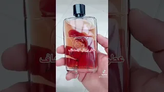 عطر جوتشي قيلتي ابسلوتلي