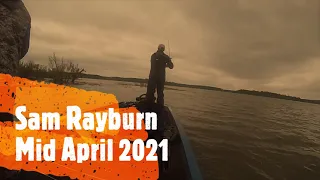 Sam Rayburn Bass Fishing Mid April