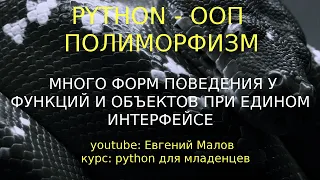 python полиморфизм