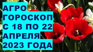 Агрогороскоп с 18 по 22 апреля 2023 года. Агрогороскоп з 18 по 23 квітня 2023 року