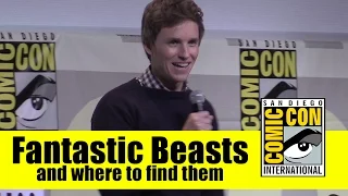 Fantastic Beasts and Where To Find Them | 2016 Comic Con Full Panel (Eddie Redmayne)