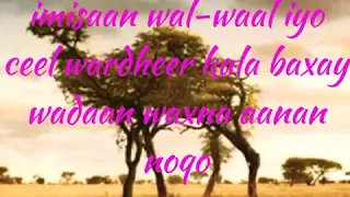 HEESTA IMISAAN WALWAAL IYO CEEL WARDHEER ORIGINAL LYRICS KHADRA DAAHIR