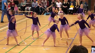 Sophia’s gymnastikopvisning 2019