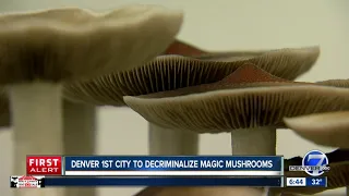 Denver is first city to decriminalize "magic mushrooms"