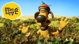 비처의 하루 - 시리즈 4 - 숀 더쉽 [Shaun the Sheep] [포함 시즌 6 의 클립]