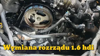 Wymiana rozrządu 1.6 Hdi Citroen, Peugeot, Ford, Mazda i Volvo