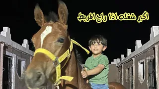 فرحة عدي بالمربط لاتوصف( شوفوا ركب من )♥️🐎