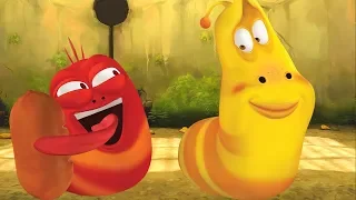 LARVA - HAM | Cartoon Movie | Cartoons | Comics | Larva Cartoon | LARVA Official