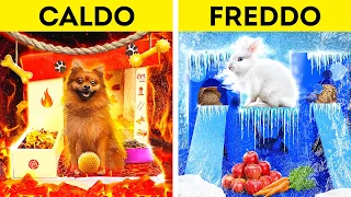 Una casa FIGHISSIMA per PET! Makeover Freddo Vs Caldo su 123 GO! CHALLENGE