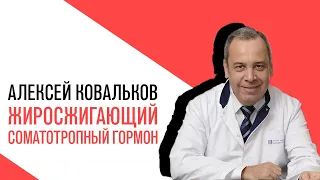 «Есть или не есть», проект Алексея Ковалькова