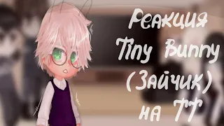 /Реакция TinyBunny(Зайчик) на ТТ: будущее, стекло/Ч.О./Maybe... Mays?