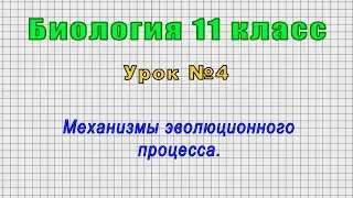 Биология 11 класс (Урок№4 - Механизмы эволюционного процесса.)