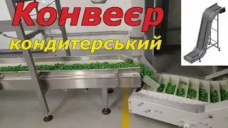 Конвейер ленточный для кондитерской фабрики с модульной лентой