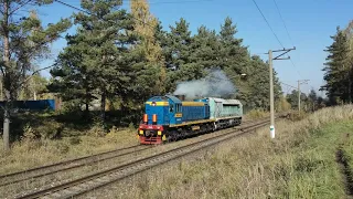 ЧМЭ3-3693 Резервом. ТЭМ2М-048, ТЭ114-0067 Резервом.