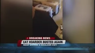 Cat hoarder busted again