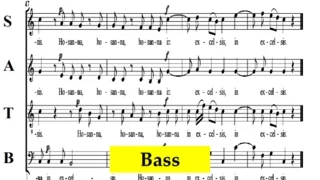 Mozart - KV66 - 4 Sanctus  - Dominicus Mass - Bass
