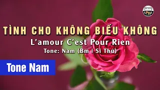 Tình Cho Không Biếu Không (L'amour C'est Pour Rien) | Karaoke | Tone Nam | Beat Chuẩn