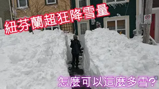 紐芬蘭超狂雪量 I 到底為什麼可以下這麼多雪!? 真的會被掩沒那種