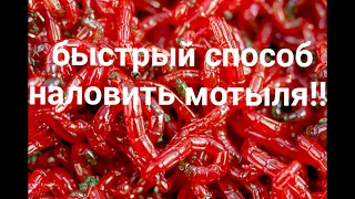 Быстрый способ намыть добыть наловить много мотыля зимой на струну.