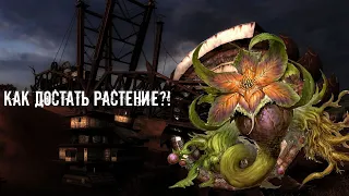 S.T.A.L.K.E.R. l АНОМАЛЬНОЕ РАСТЕНИЕ для ГЕРМАНА l Тернистый путь #3