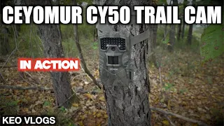 Ceyomur Trail Camera In Action