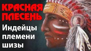 Красная Плесень - Индейцы племени Шизы | Лучшие песни