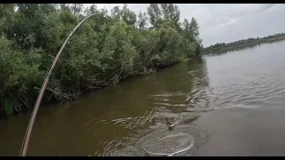 Рыбалка на джиг и на балду(Зубастая взяла с 4й попытки)