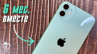 Полгода с iPhone 11