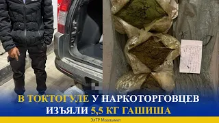 В ТОКТОГУЛЕ У НАРКОТОРГОВЦЕВ ИЗЪЯЛИ 5,5 КГ ГАШИША