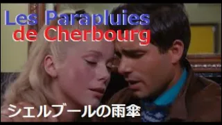 Danielle Licari 映画「シェルブールの雨傘」　Les Parapluies de Cherbourg