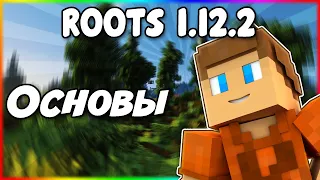 Гайд по Roots 1.12.2 #1 Основы