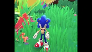 SONIC’S IDLE ANIMATIONS- SONIC DREAM TEAM