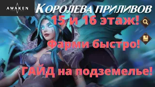 Королева Приливов 15-16 этаж! Гайд на быструю команду | Awaken Chaos Era.