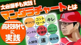 【漫画】MLB大谷翔平も高校時代に実践したマンダラチャートの書き方。ビジネスマンの夢も叶える最強ツール【教養マンガ動画】